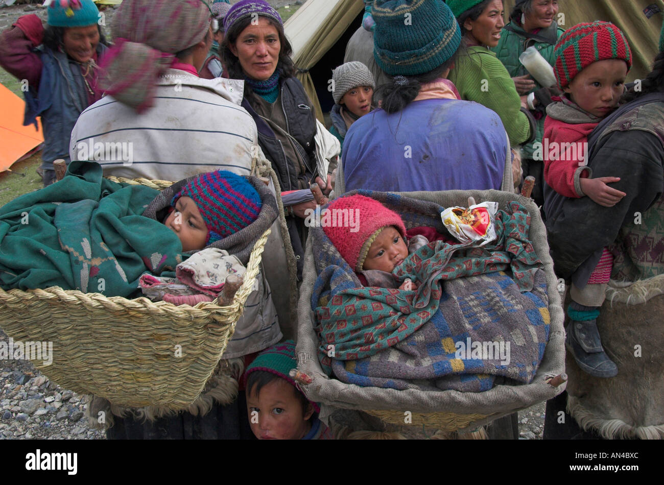 Babies in baskets Photaksar Ladakh India Stock Photo Alamy