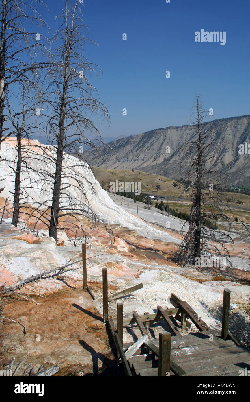 Broken boardwalk, Canary Spring, Upper Terrace Drive, Mammoth Hot