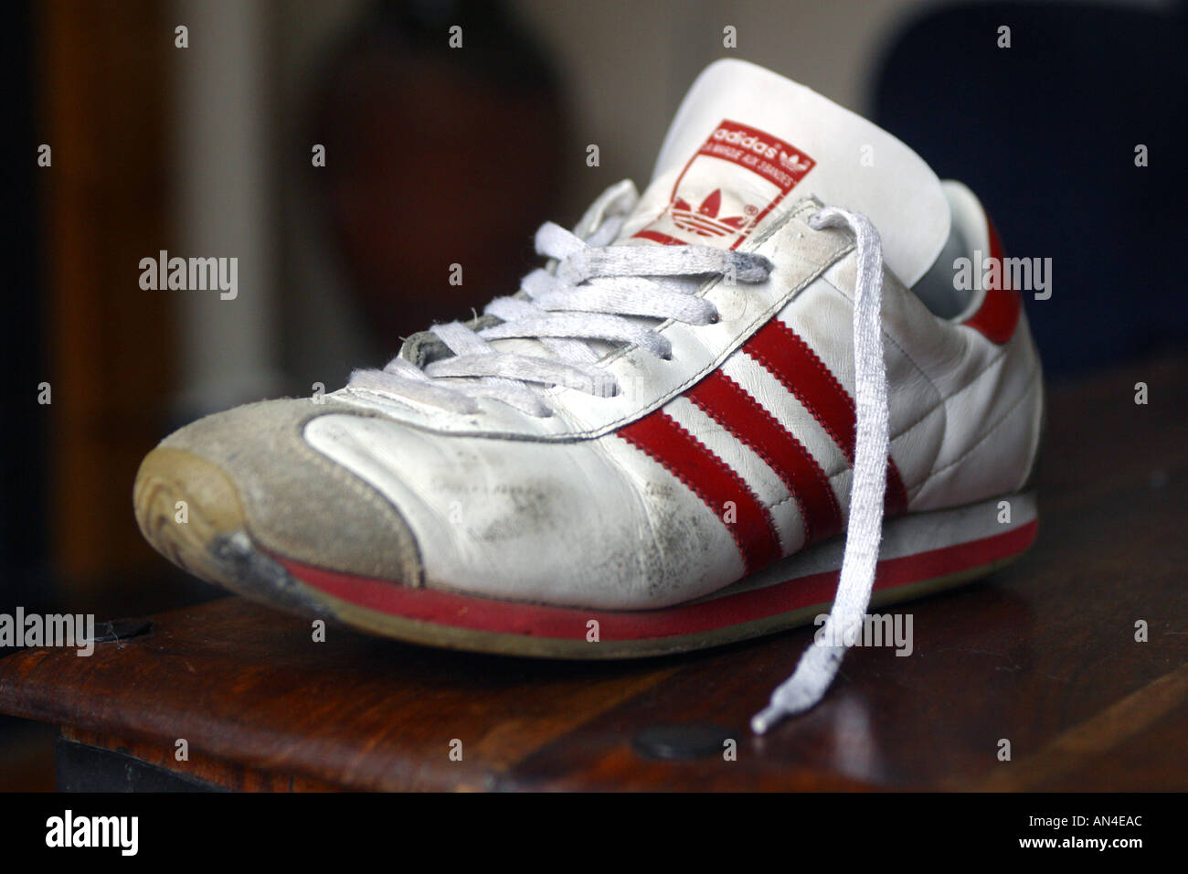 Adidas sneaker trainer Stock Photo