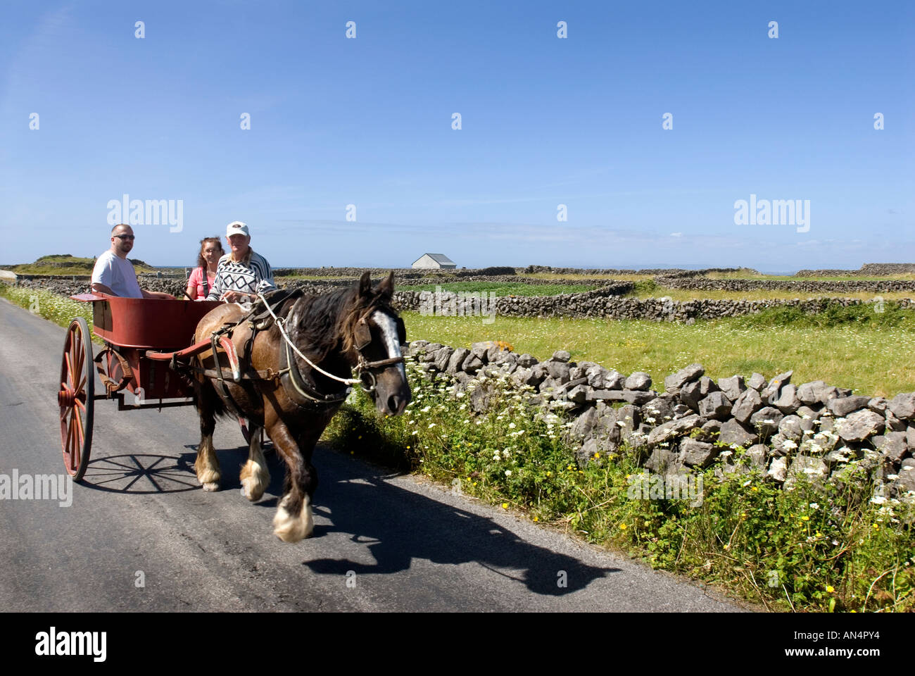 Aran islands horse cart hi-res stock photography and images - Alamy
