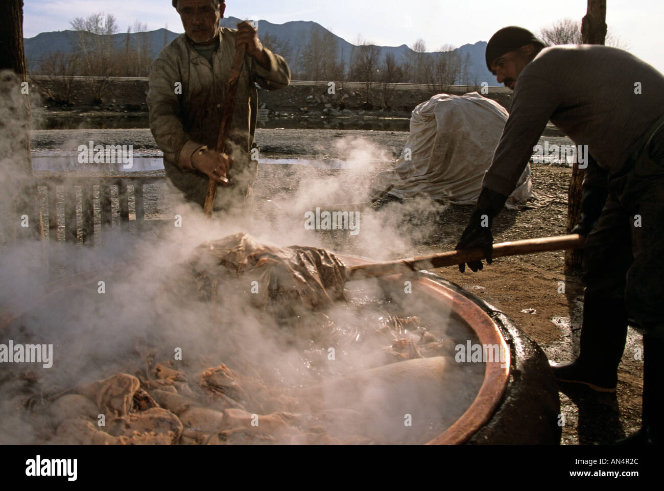 Men working in carpet making workshop, Shiraz, Iran Stock Photo