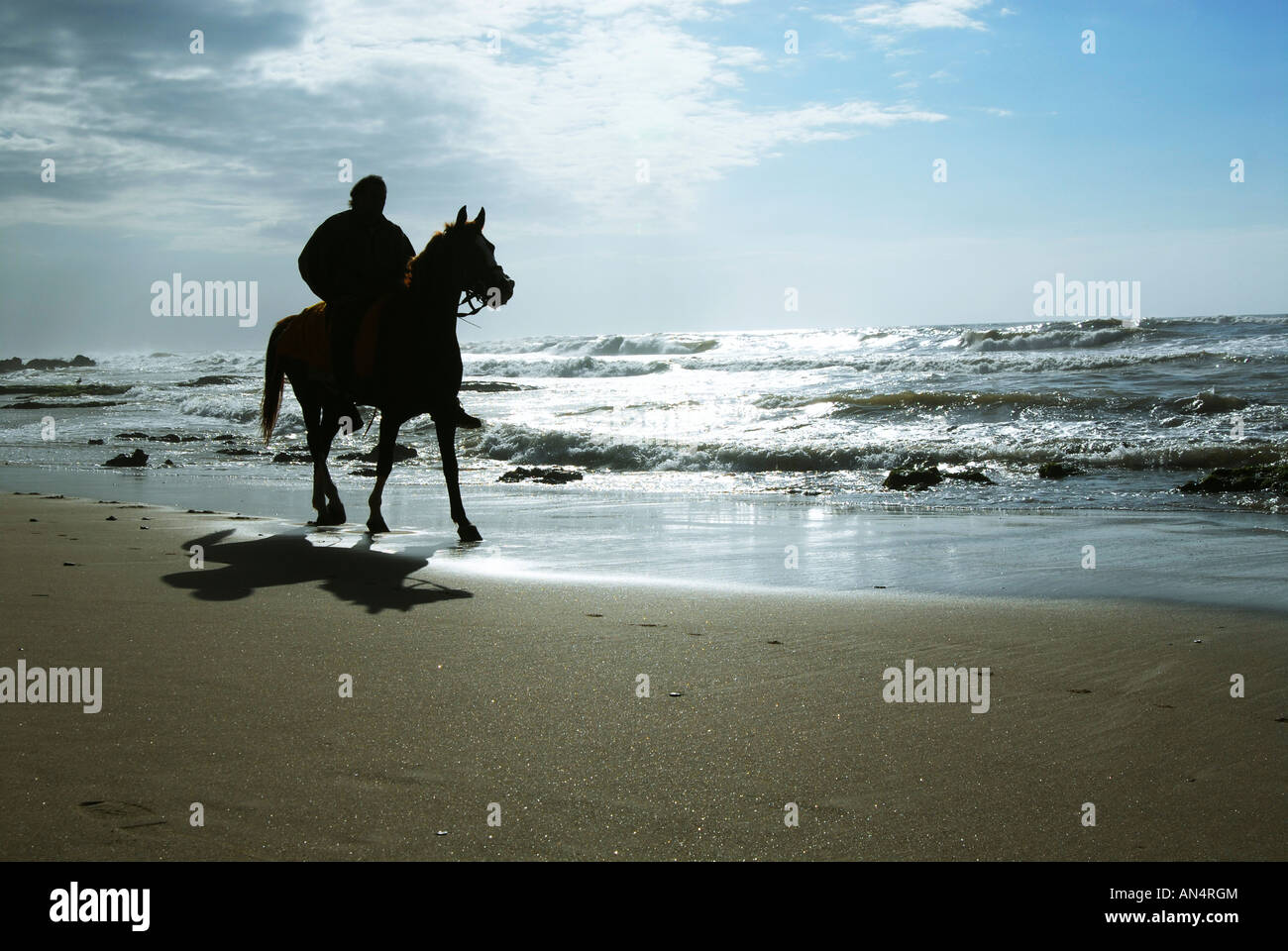 Horse riding on the Mediterranean beach at dusk Silhouette Stock Photo ...