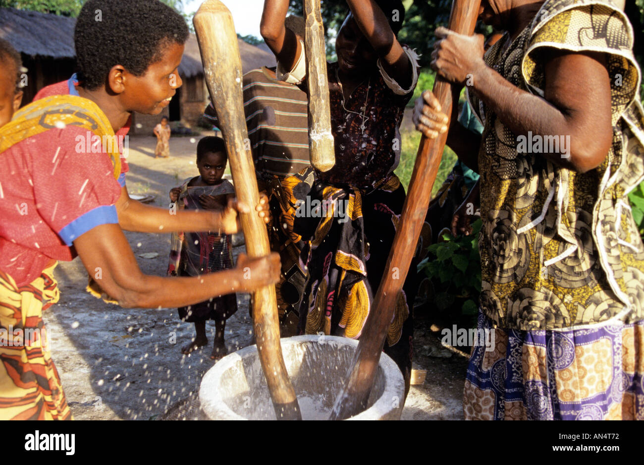 Villagers pounding rice in big mortar, Africa Stock Photo
