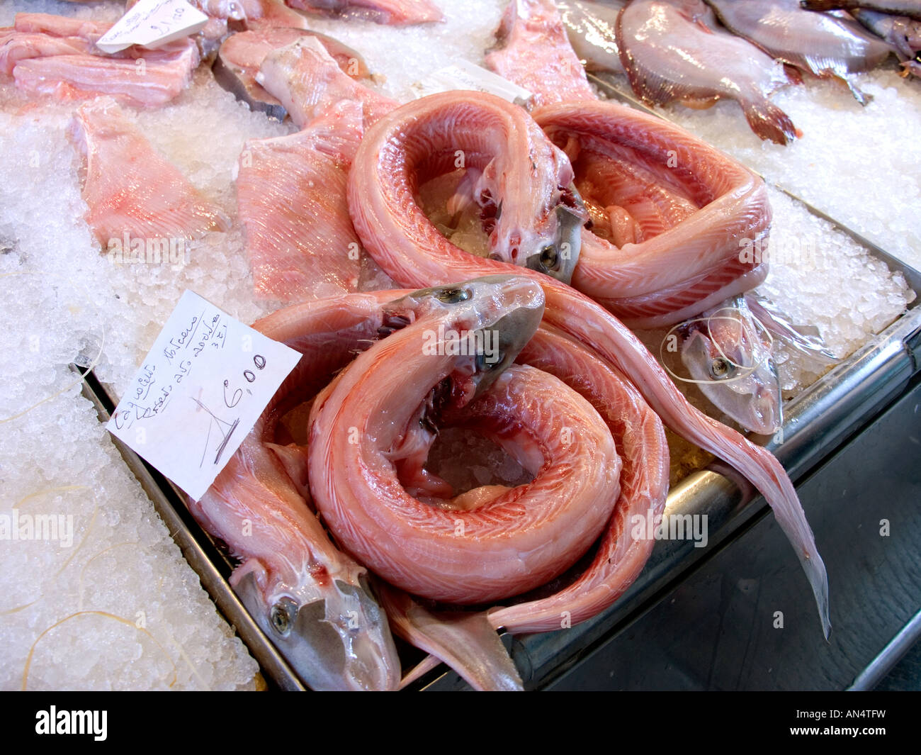 Rialto Fish Market Stall, Venice, Italy/ Stock Photo