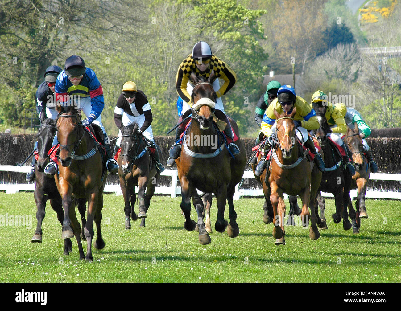 Point to Point Racing Laleston Bridgend South Wales Stock Photo