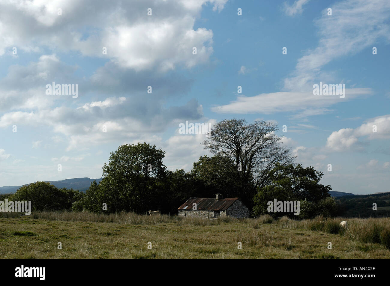 Farmhouse Ystradfellte Brecon Beacons Mid Wales Stock Photo Alamy