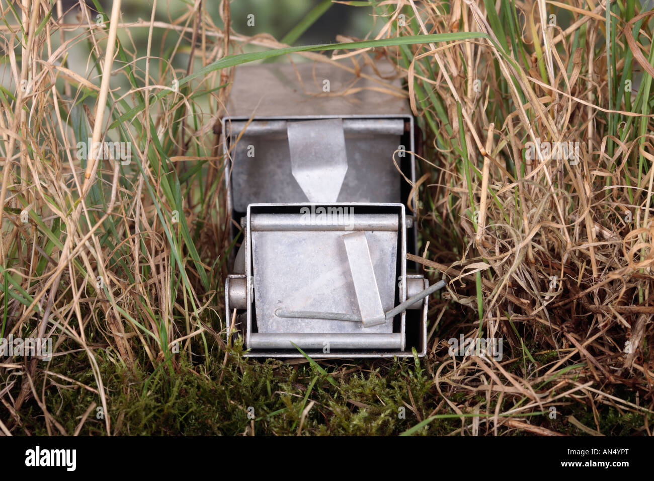 Longworth live trap with door closed Potton Bedfordshire Stock Photo