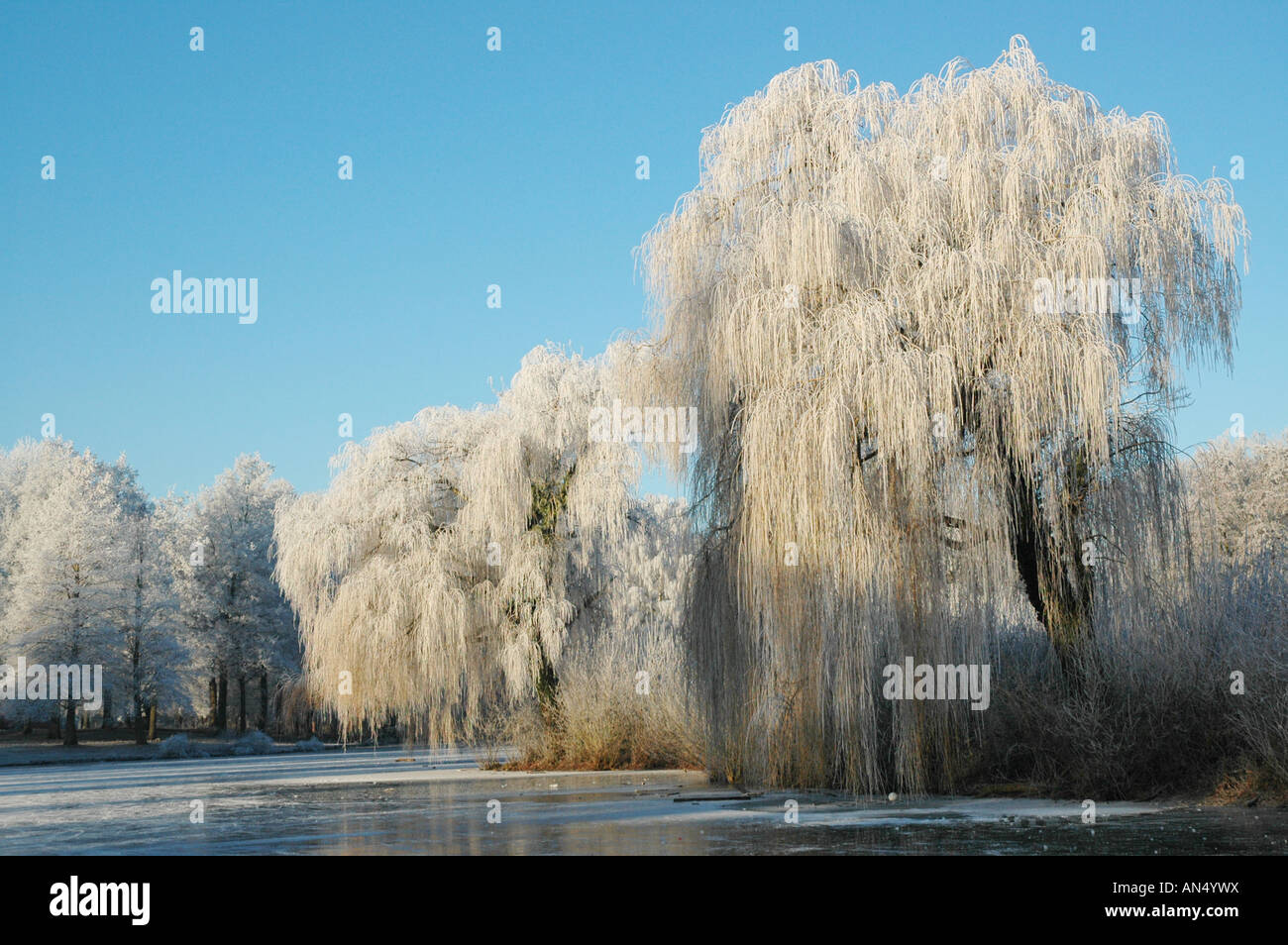 winter scene Roermond Netherlands Europe Stock Photo