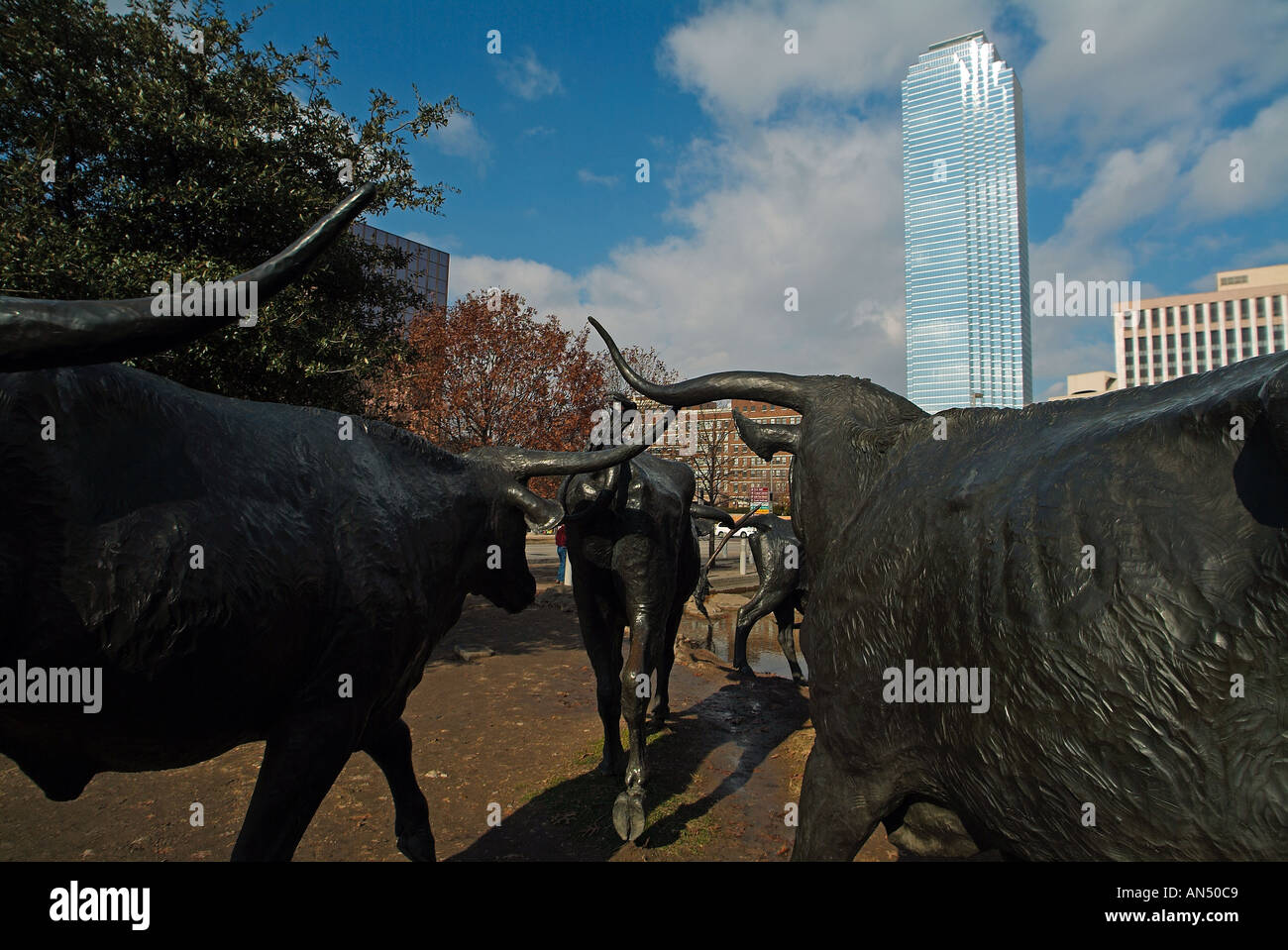 Cow statues in downtown of Dallas, Texas Stock Photo Alamy