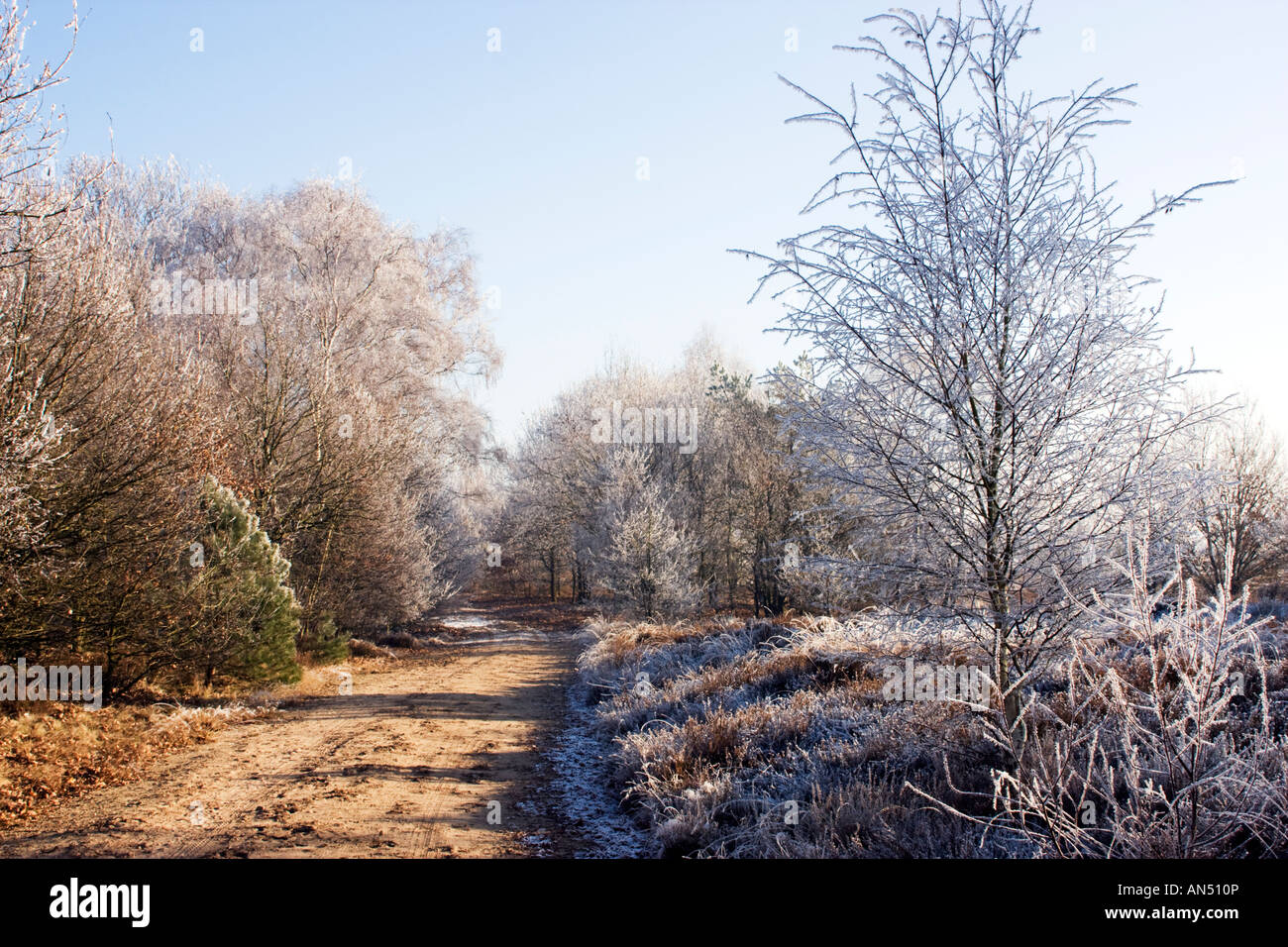 Unpaved Path Unpaved path crossing moors Stock Photo - Alamy