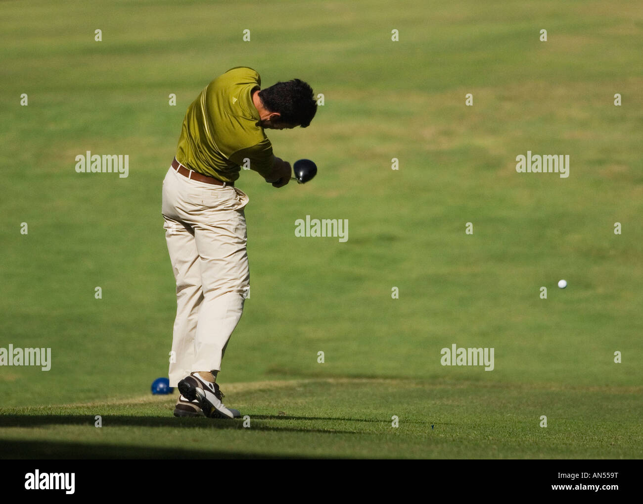 driving the golf ball Stock Photo Alamy