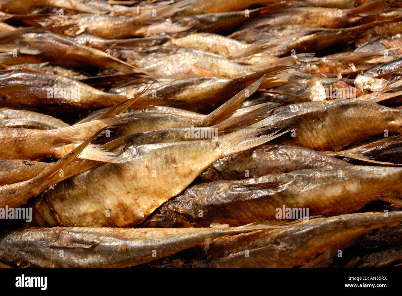 Fish smoking, smoked fish Stock Photo Alamy