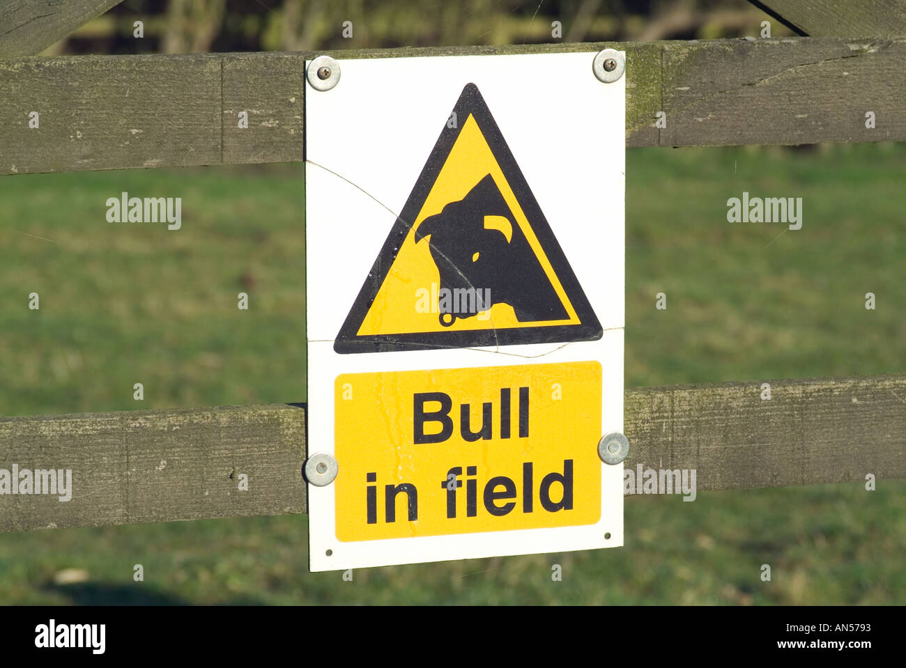 Bull in field sign clumsy crash bull in a china shop Stock Photo