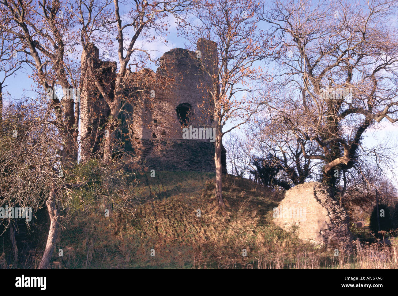 LONGTOWN CASTLE HEREFORDSHIRE ENGLAND UK Stock Photo Alamy