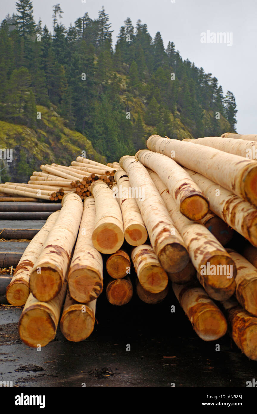 Canadian Sawn Lumber ready for Market Stock Photo Alamy