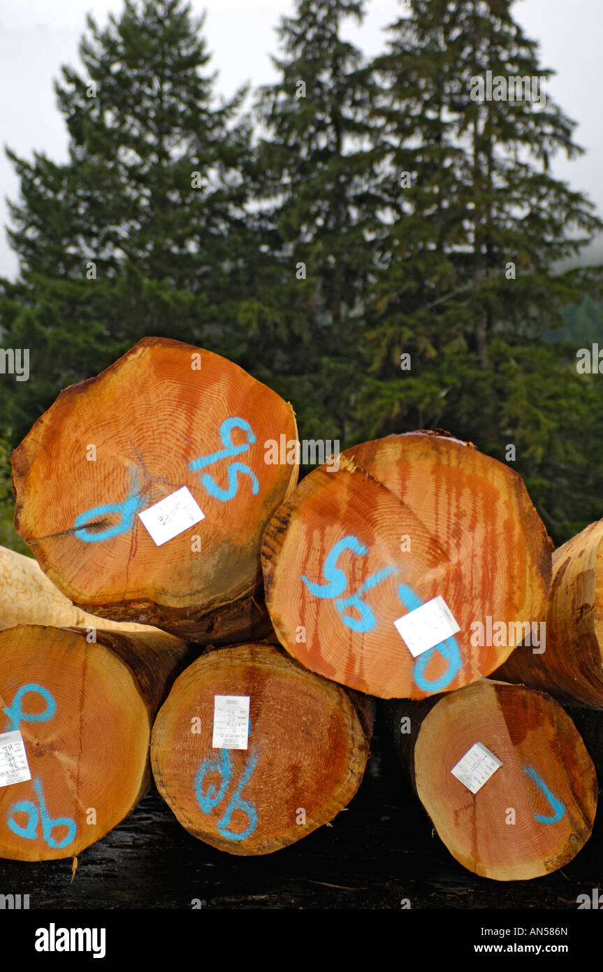 Canadian Sawn Lumber ready for Market Stock Photo Alamy