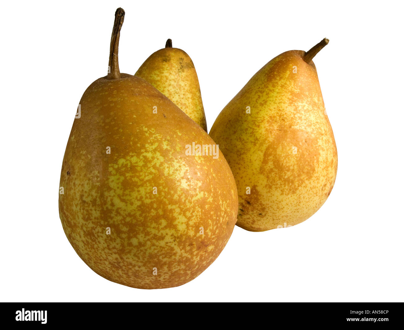 Pera rocha Cut Out Stock Images & Pictures - Alamy