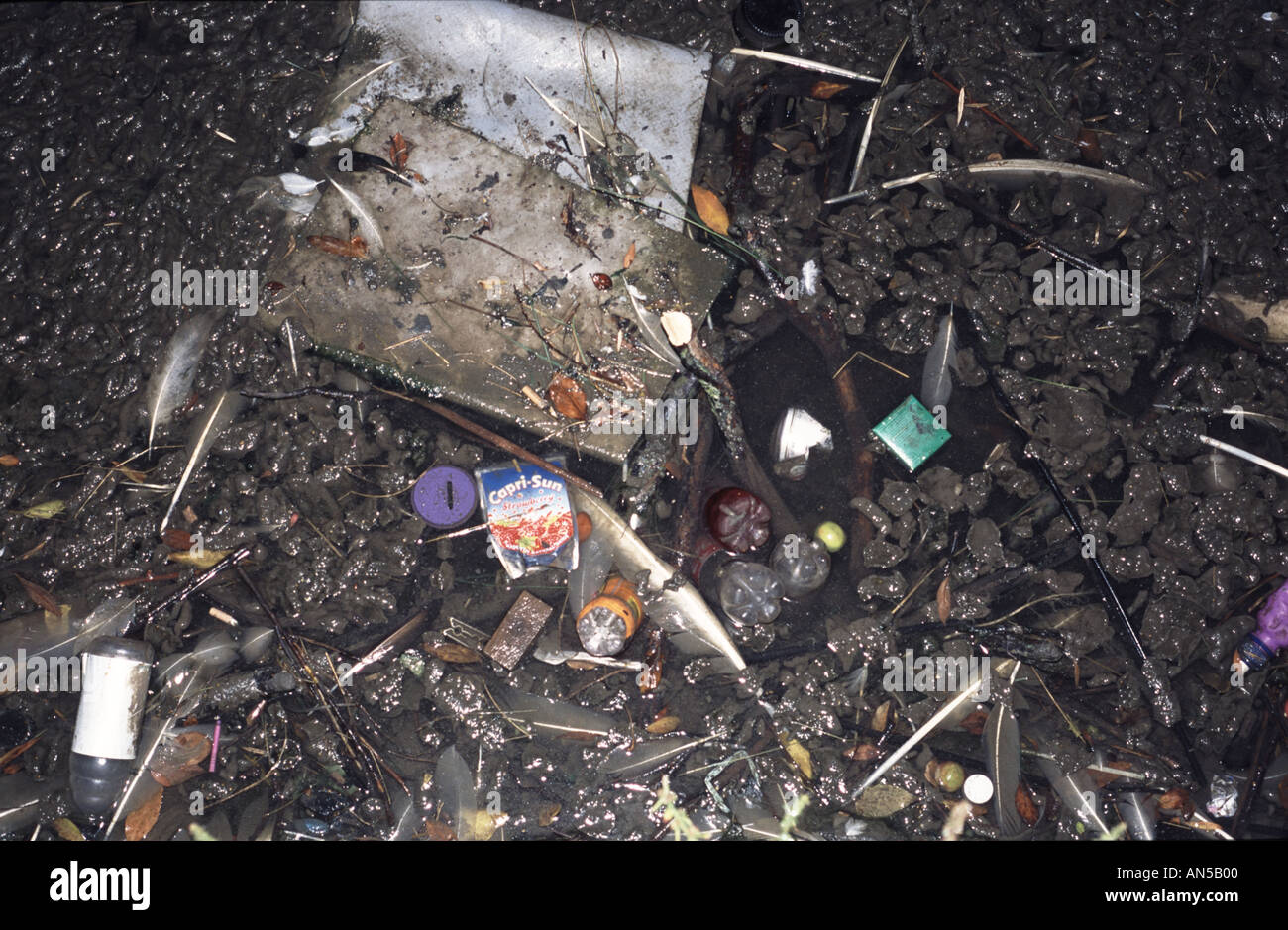 Rubbish Garbage in Sea Stock Photo