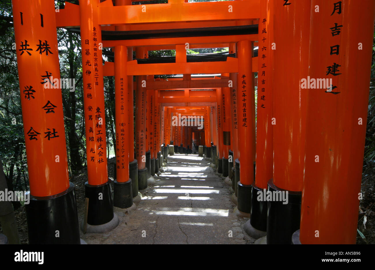 Tori gates at Fushimi Inari Taisha shrine in tourist popular Kyoto Japan Asia scene set of Memoirs of a Geisha hollywood movie Stock Photo