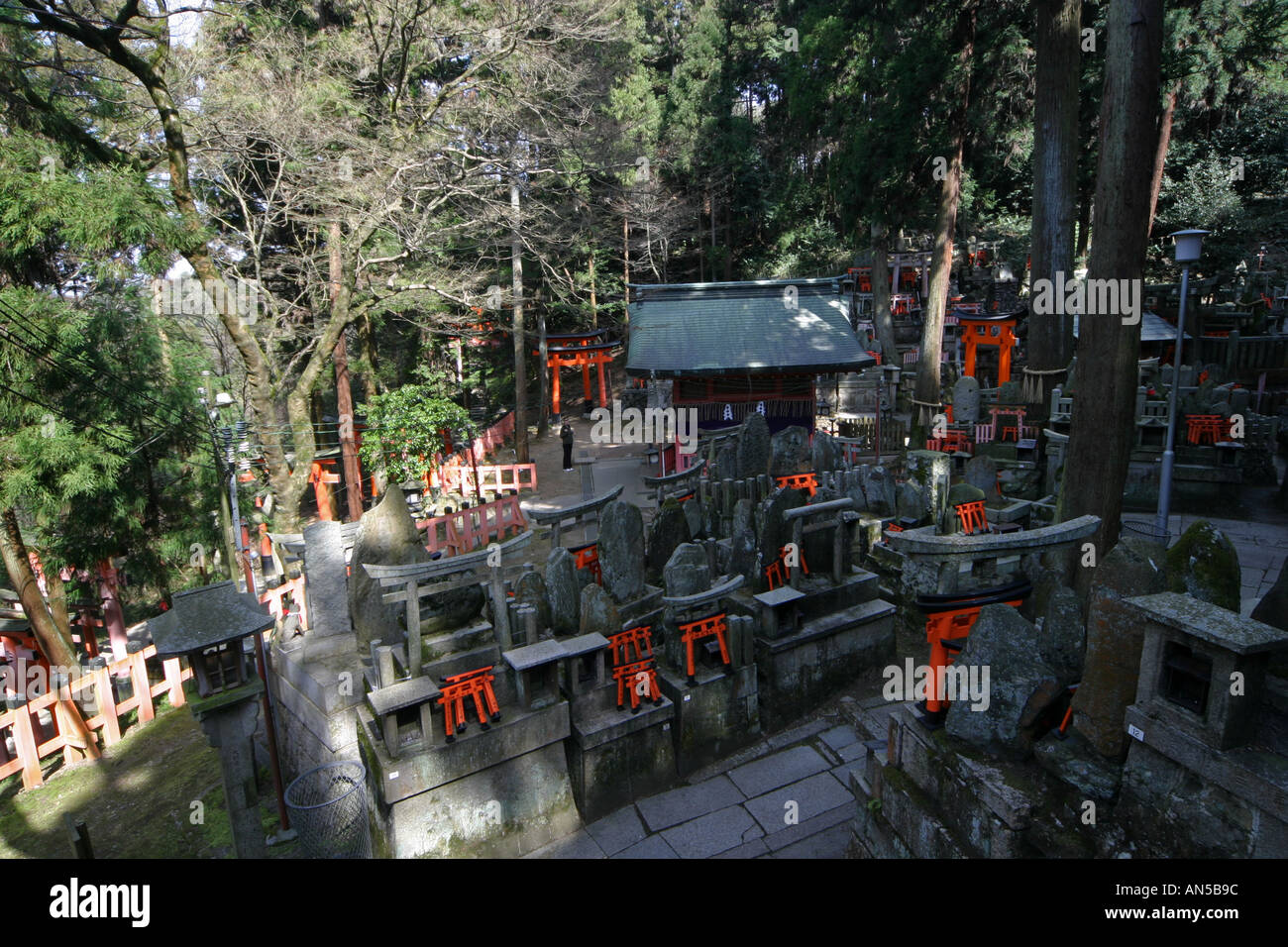 A tourist is dwarfed by the size of the cemetary at Fushimi Inari Taisha shrine in Kyoto Japan Asia Stock Photo