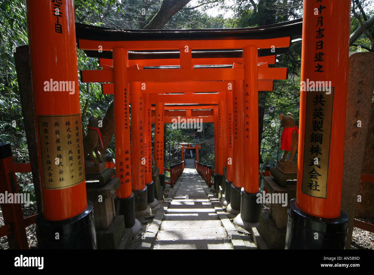 Tori gates at Fushimi Inari Taisha shrine in Kyoto Japan Asia scene set of Memoirs of a Geisha hollywood movie film Stock Photo