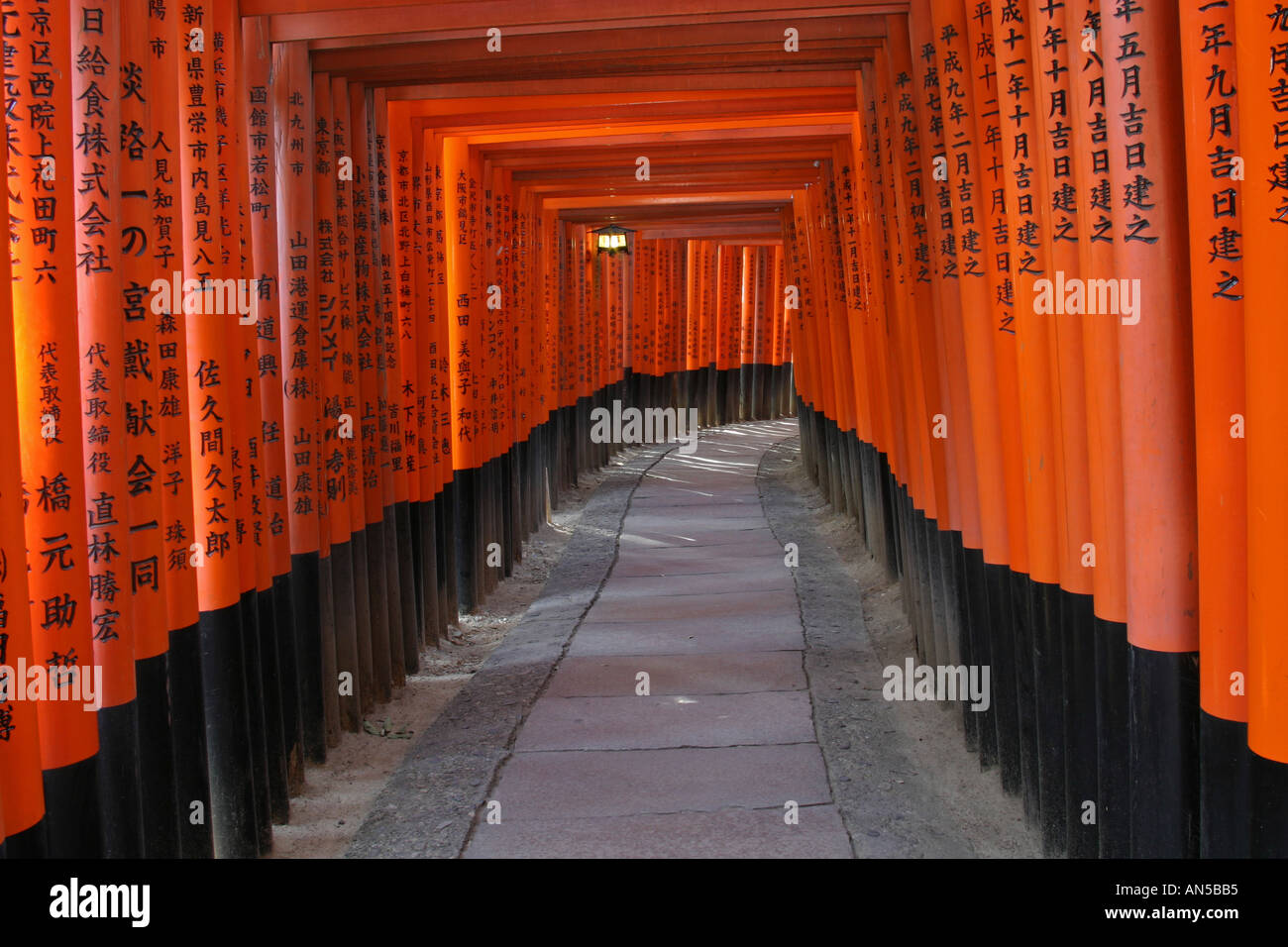 Tourist attraction in Kyoto Tori gates at Fushimi Inari Taisha shrine in Japan Asia scene set of Memoirs of a Geisha movie film Stock Photo