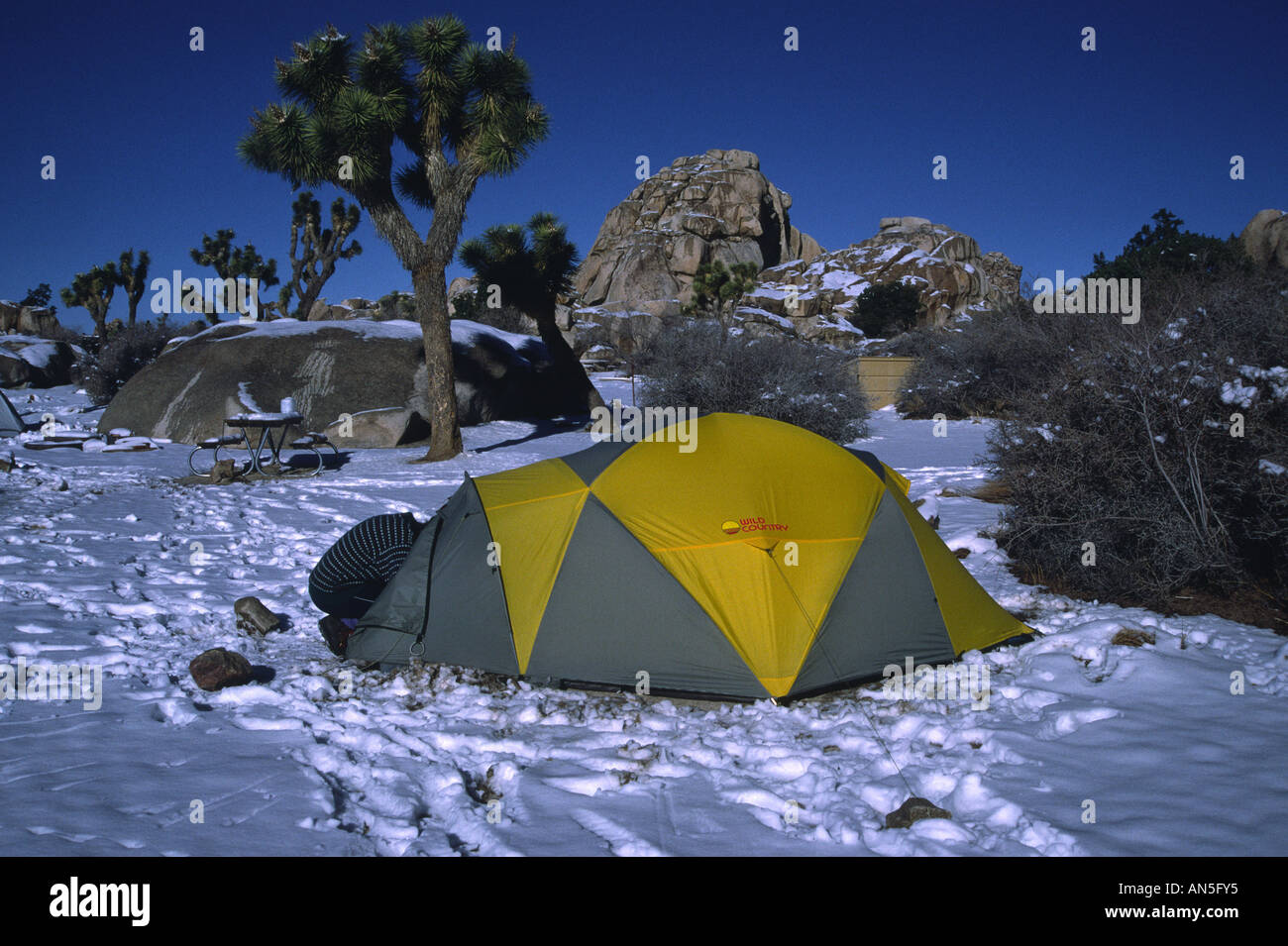 Joshua Tree Winter Camping High Resolution Stock Photography And Images Alamy
