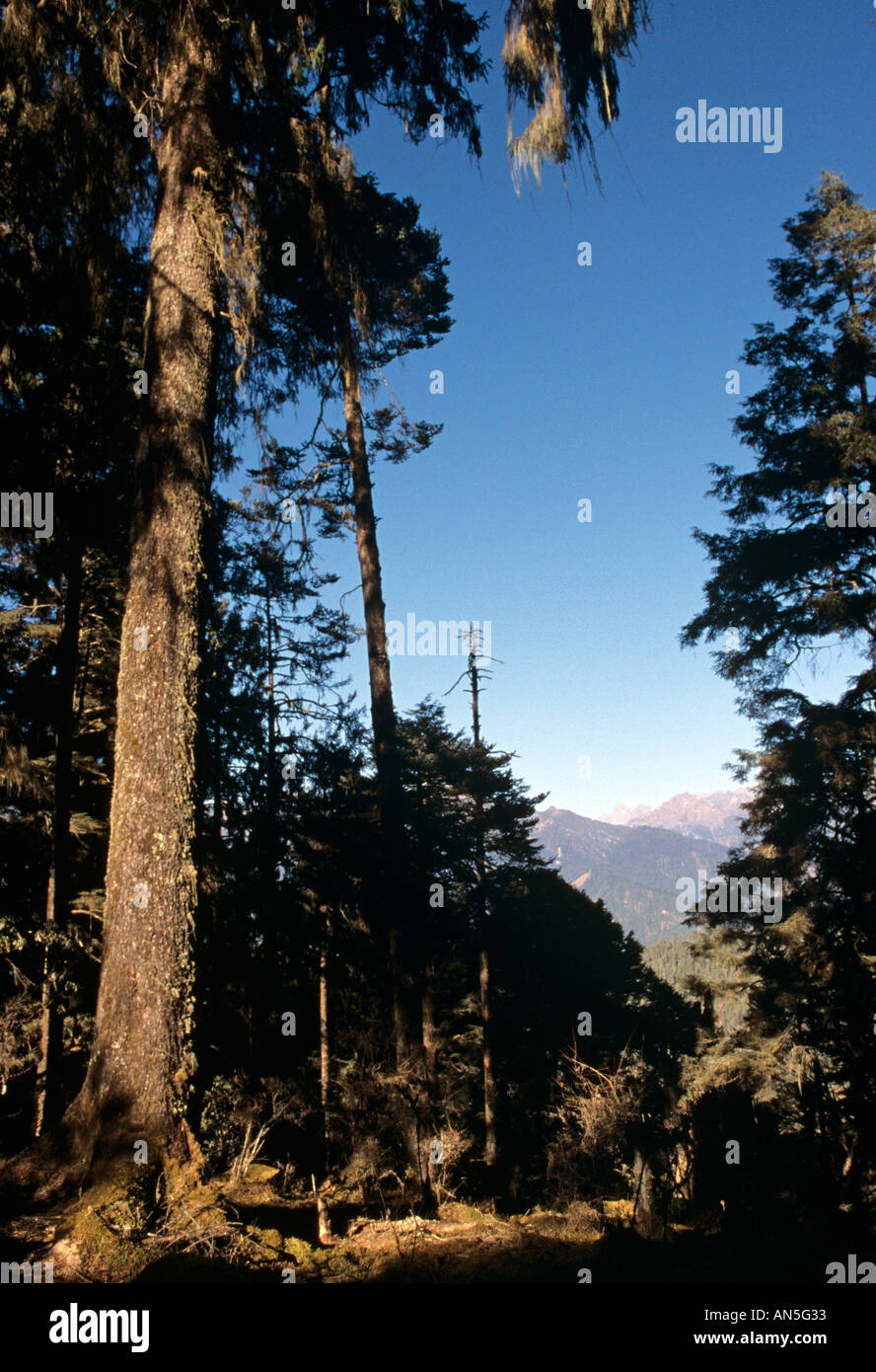 Bhutan outdoor scenery hi-res stock photography and images - Alamy