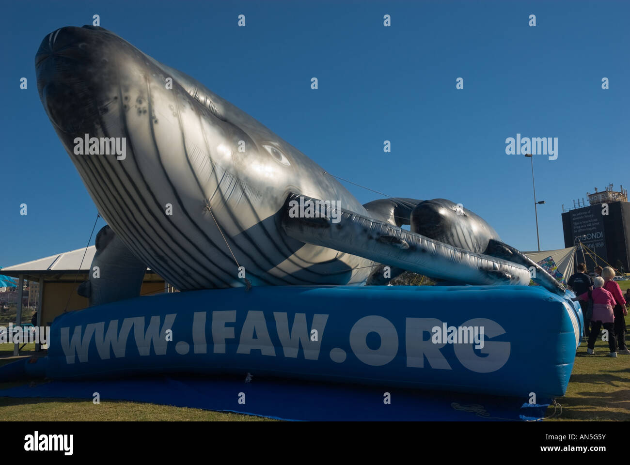 An inflatable whale, owned by IFAW, at an anti-whaling protest Stock Photo