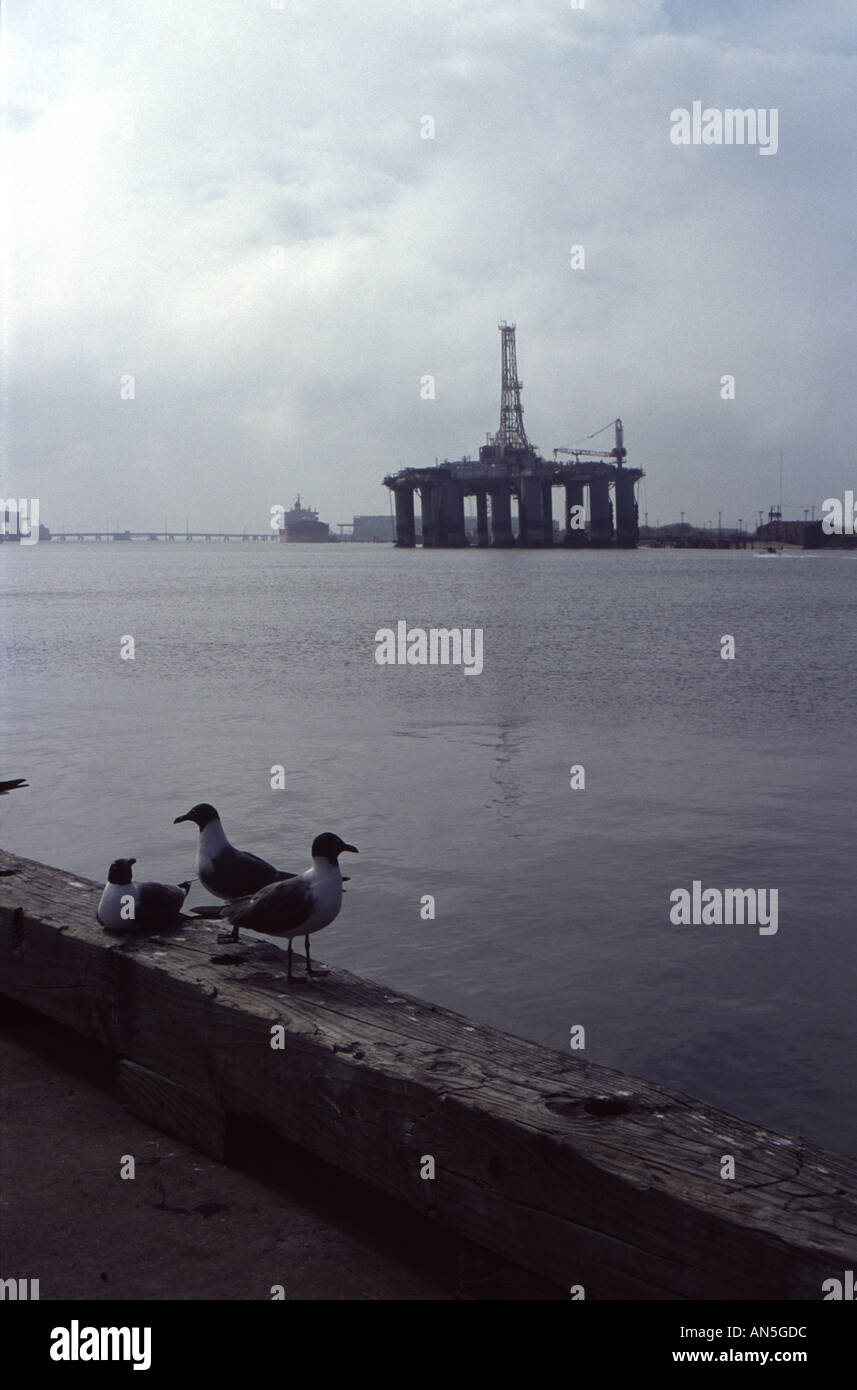 Offshore oil rigs galveston hires stock photography and images Alamy