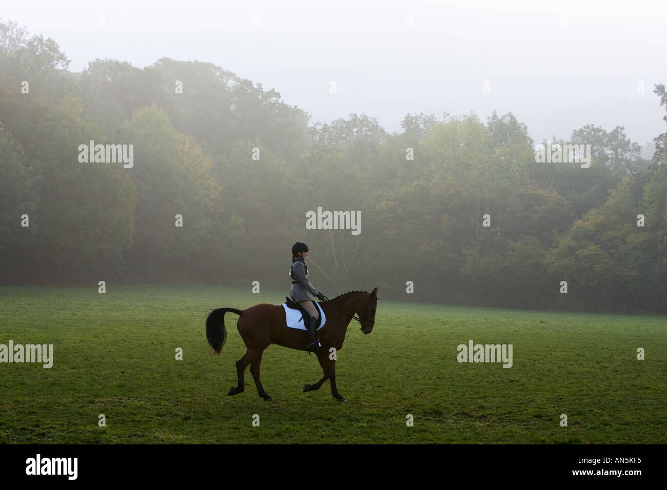 Horse and rider prepare for equestrian Dressage competition Oxfordshire