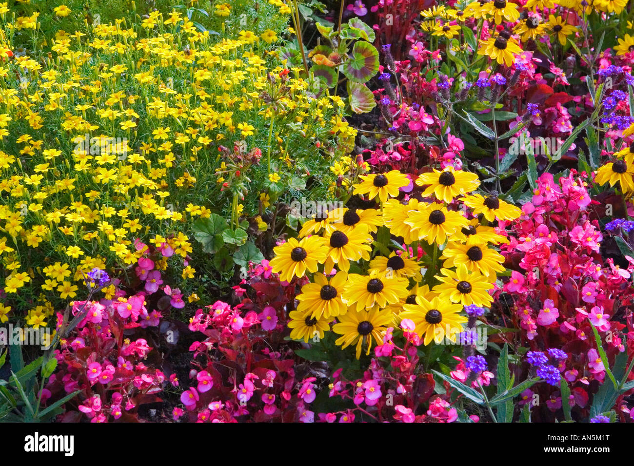 Mixed garden bed hi-res stock photography and images - Alamy