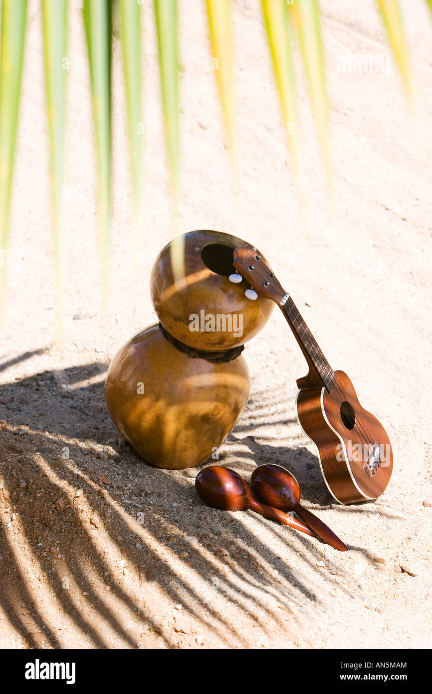Hawaiian lute sales