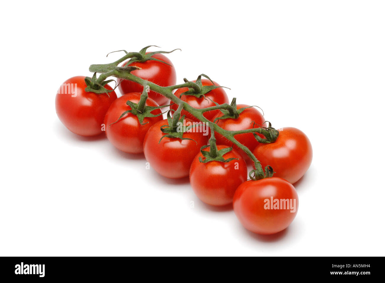 Tomatoes on the vine on white background Stock Photo - Alamy