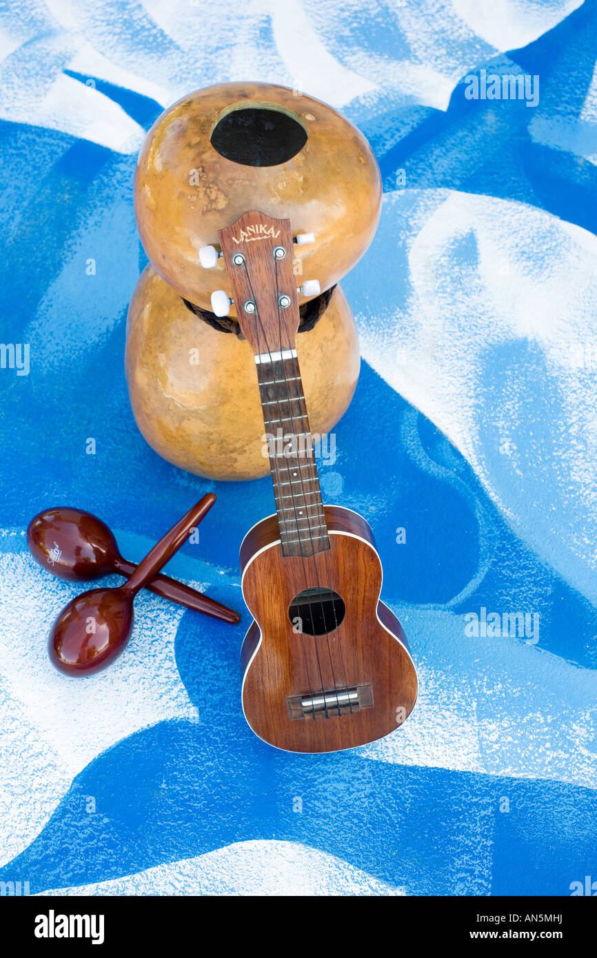 Ipu Heke ukulele Hawaiian musical instruments on blue dolphin painting. India Stock Photo