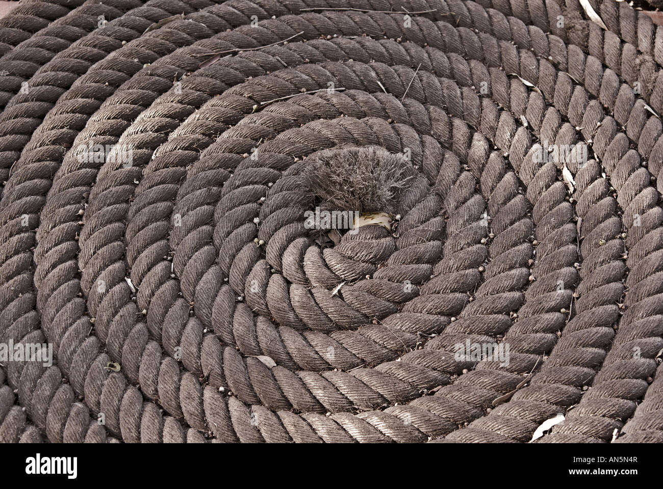 a big rope rolled into a tight coil Stock Photo - Alamy