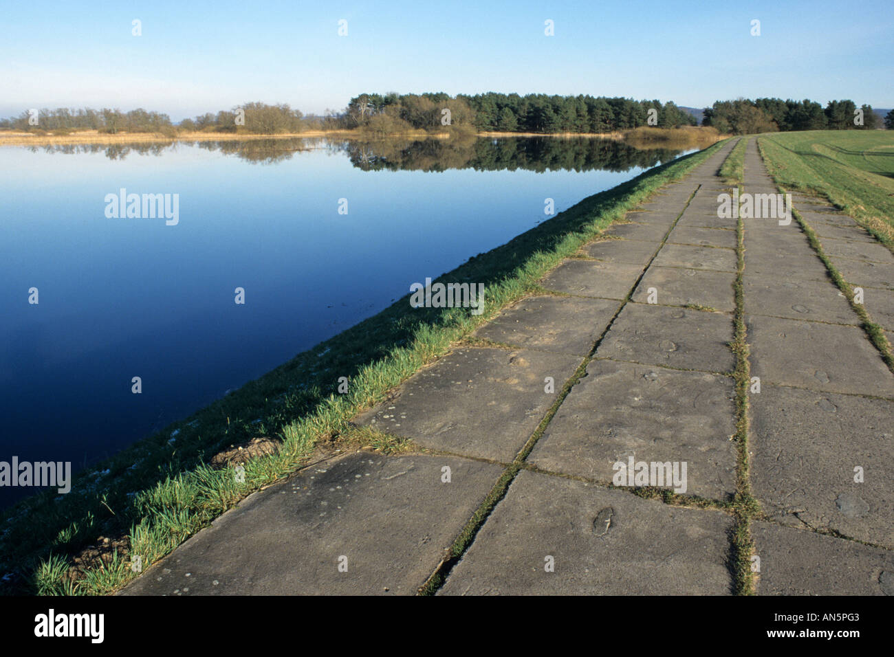 Dike with flooded polder meadows, Lower Oder Valley National Park, Germany Stock Photo