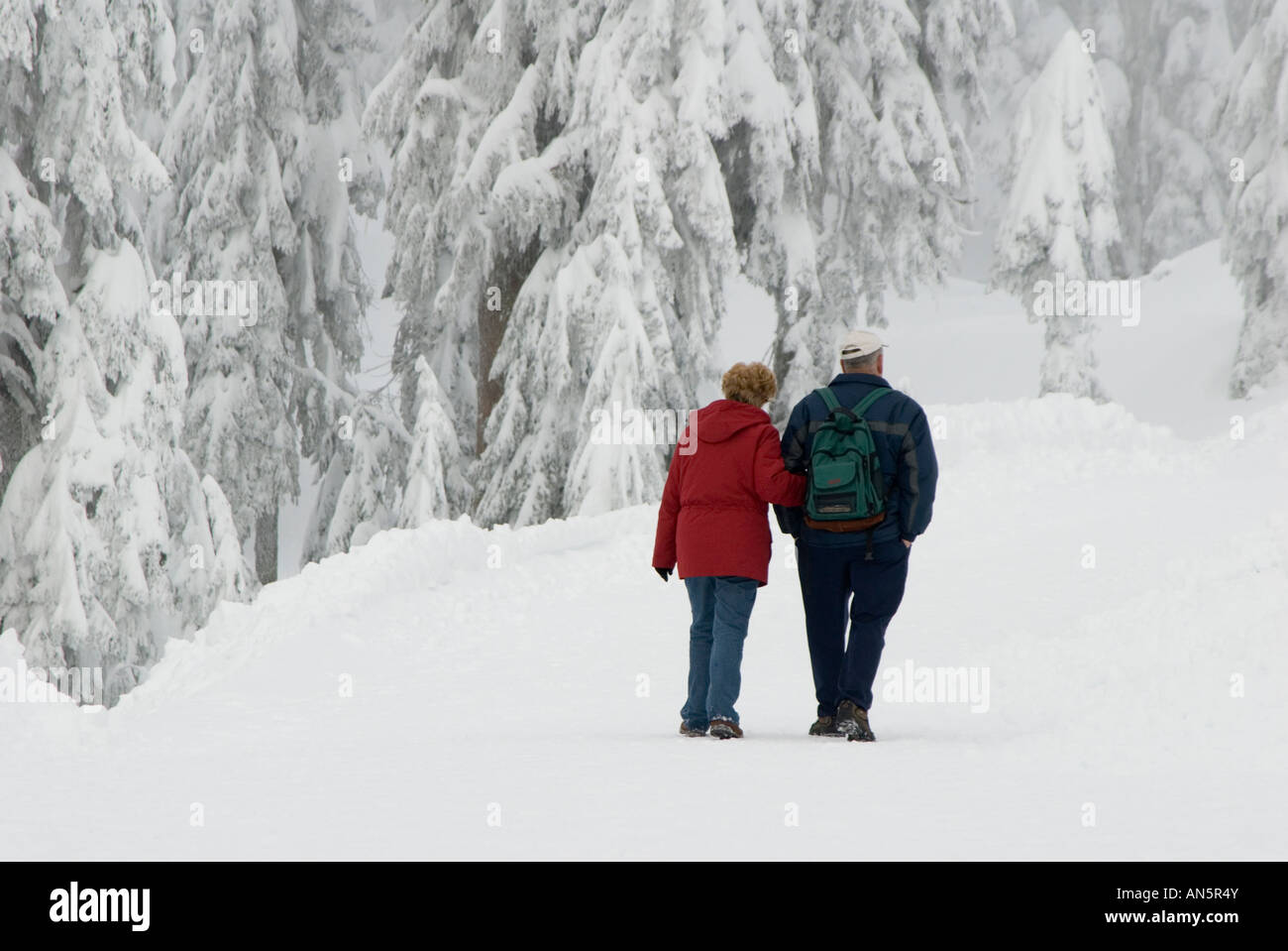 Older couple, arm in arm walking on snowy trail in the forest Stock