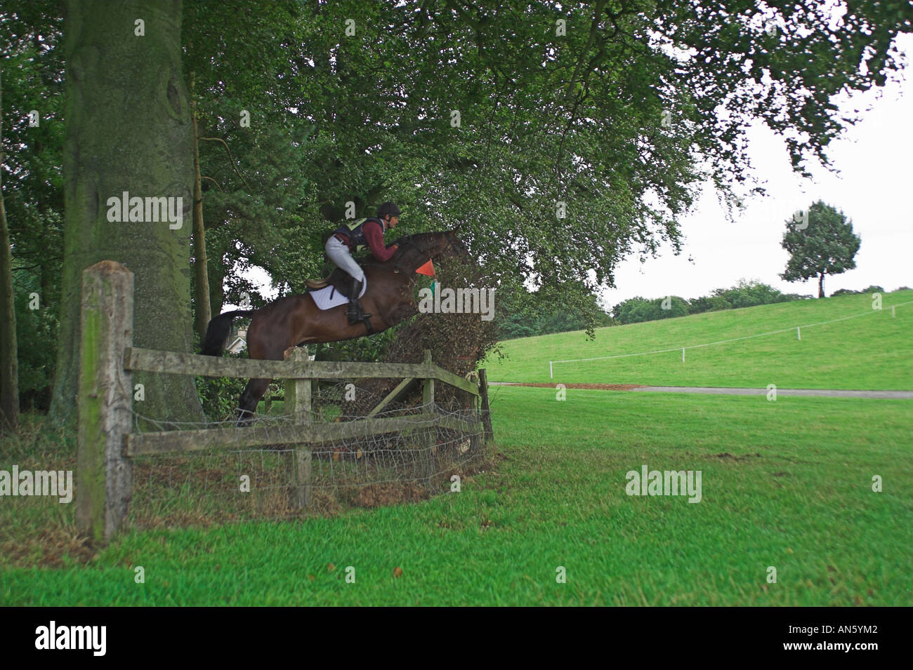 Rider  competing at the Henbury Hall Horse Trials Stock Photo