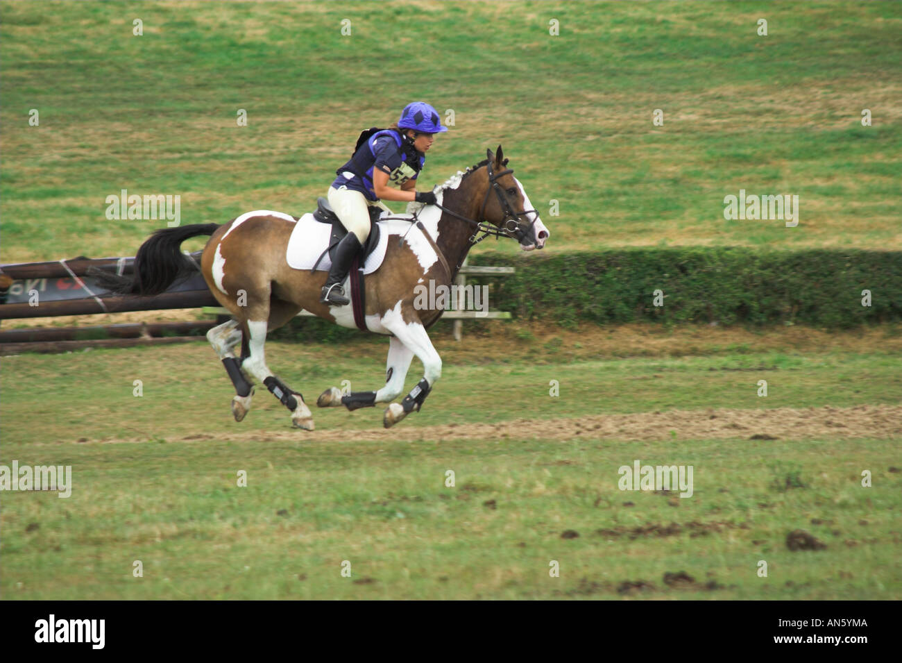 Three Day Event Rider competing at the Tetton ParkHorse Trials Stock Photo