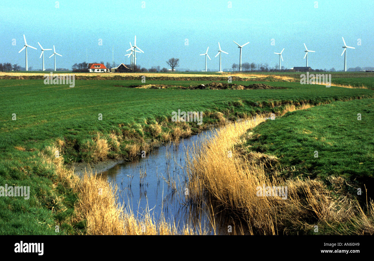 Community gathering inside a Friesland windmill.