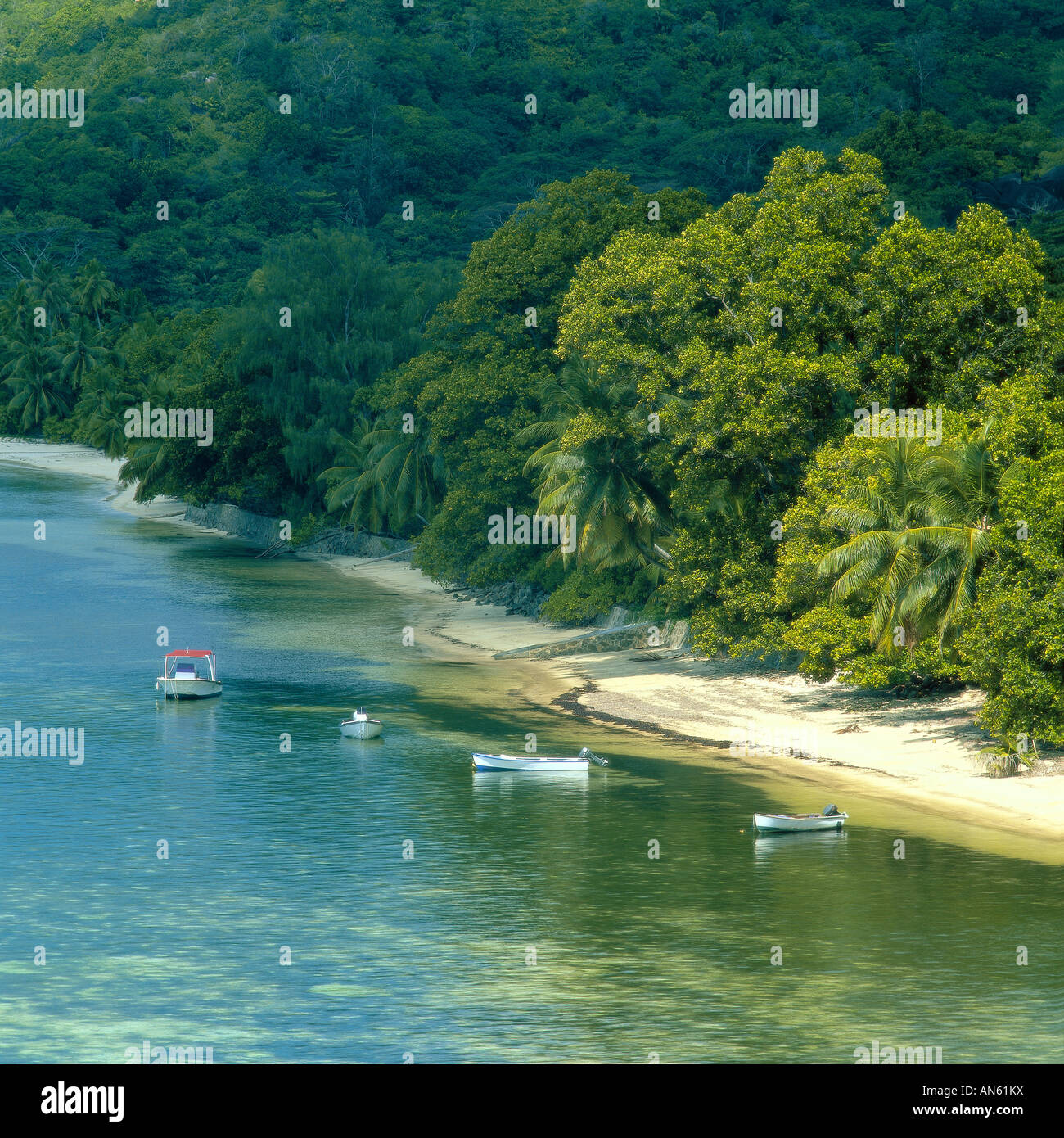 Tropical paradise, beach Stock Photo