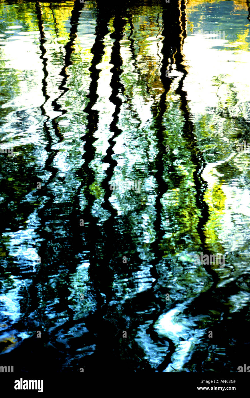 Reflection of trees in water hi-res stock photography and images - Alamy