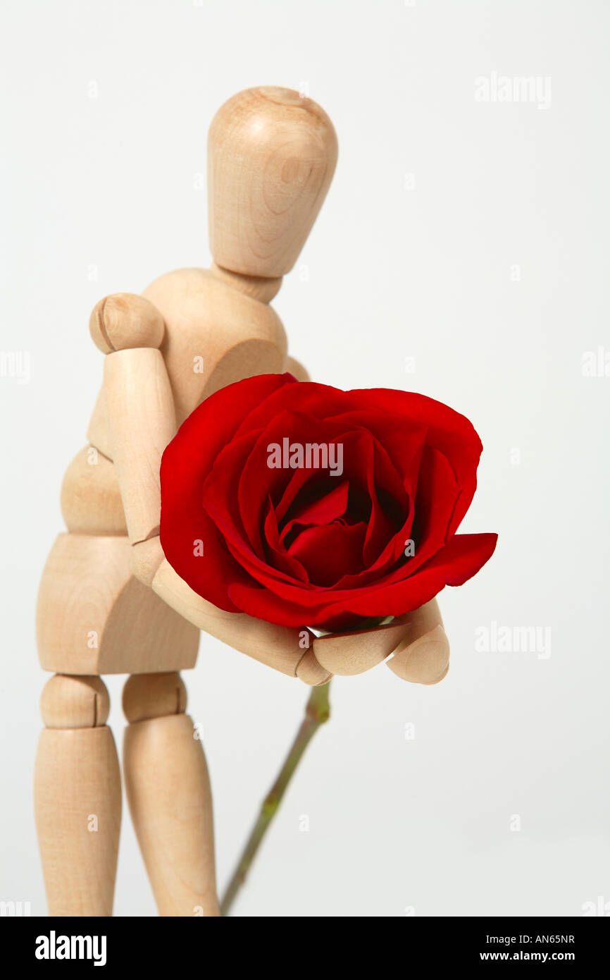Giving a rose Stock Photo - Alamy