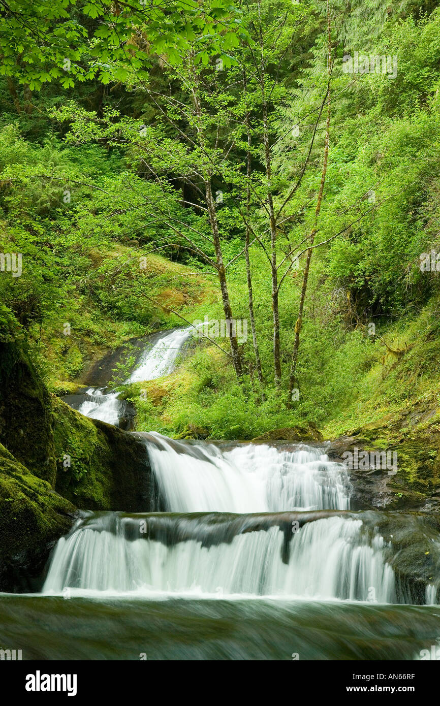Mapleton waterfall hi-res stock photography and images - Alamy