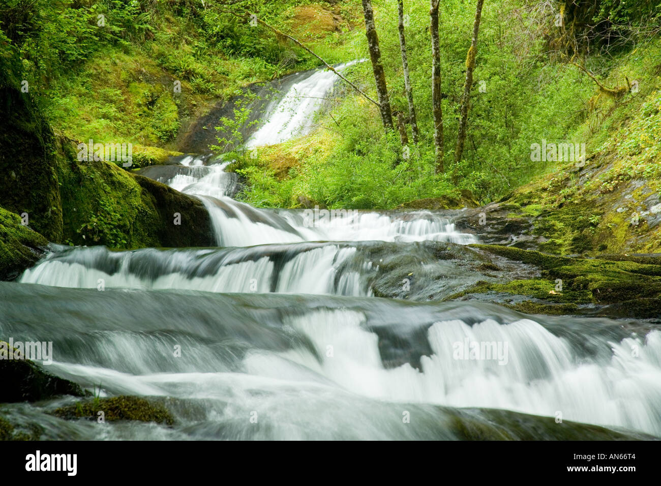 Mapleton waterfall hi-res stock photography and images - Alamy
