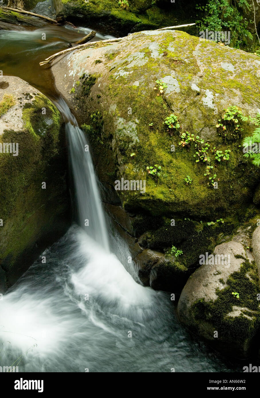 Mapleton waterfall hi-res stock photography and images - Alamy