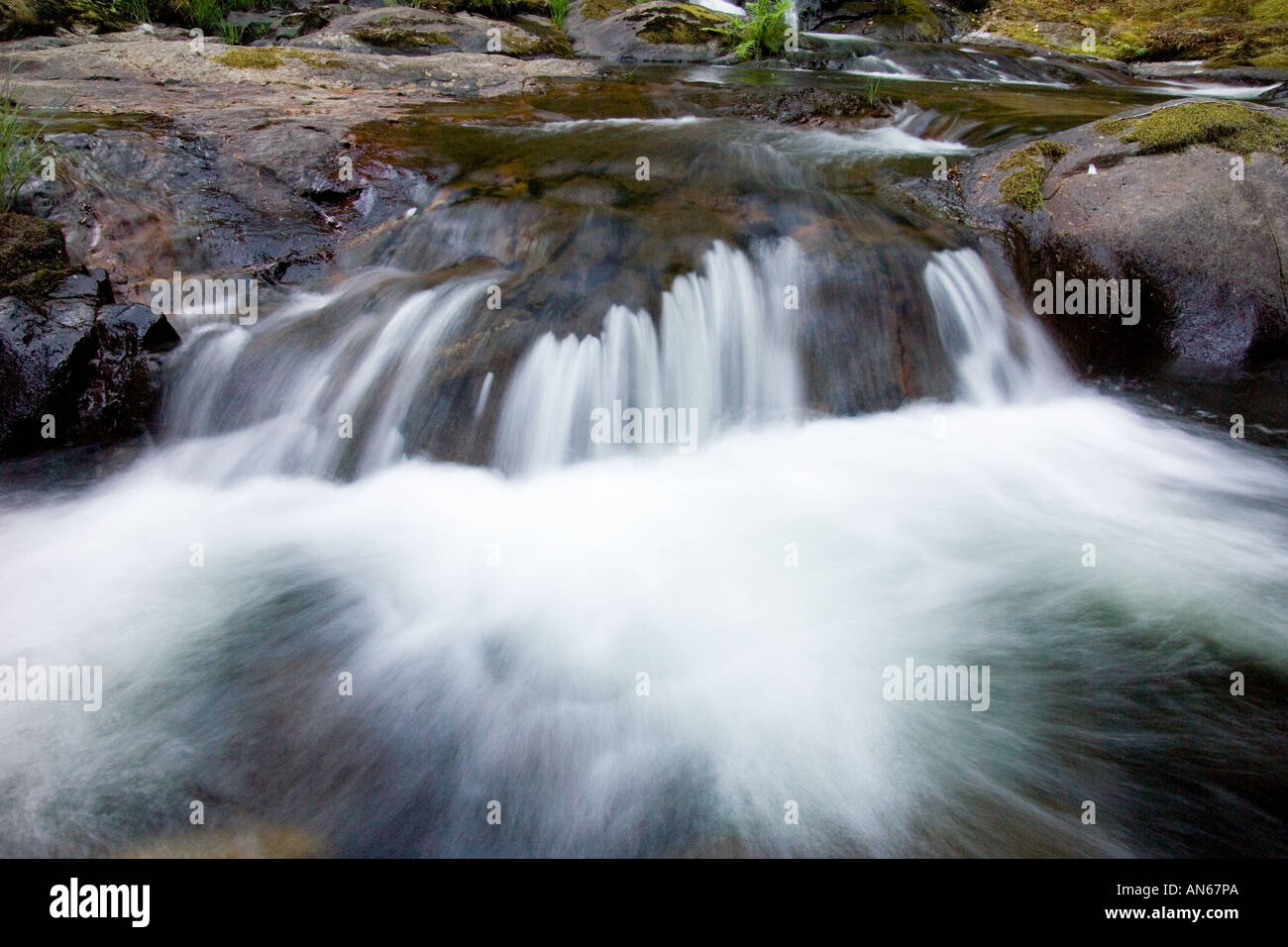 Mapleton waterfall hi-res stock photography and images - Alamy