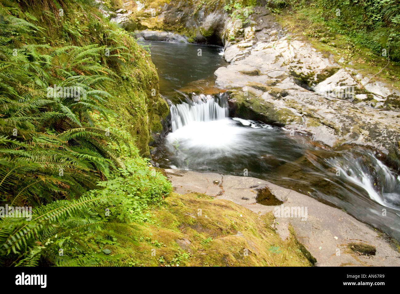 Mapleton waterfall hi-res stock photography and images - Alamy