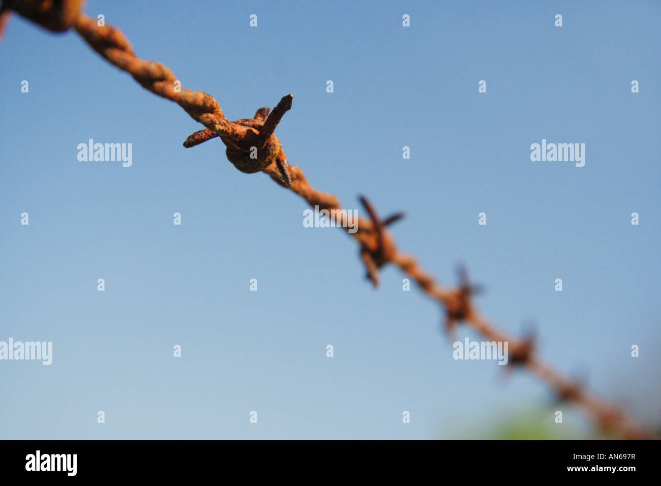 Rusty barbed wire Stock Photo Alamy